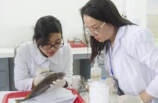 Des universitaires vietnamiens remportent des prix de recherche scientifique américains