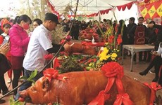 Originalité des fêtes du cochon rôti à Lang Son