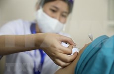 522 personnes déjà vaccinées contre le COVID-19, quelques effets secondaires après l'injection