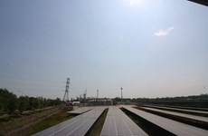 Inauguration de la première centrale solaire du delta du Mékong