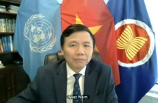 Le Vietnam à la réunion virtuelle du Conseil de sécurité  sur la situation au Kosovo