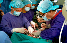 COVID-19 : assurer les opérations de greffe d'organes