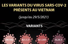Les huit variants du virus SARS-CoV-2 présents au Vietnam jusqu’au 29 mai