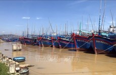 Le Vietnam lutte contre la pêche illicite, non déclarée et non réglementée