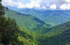 Les 10 parcs nationaux les plus attrayants du Vietnam