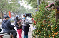 Têt : le marché aux fleurs de Quang An est en effervescence