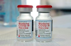 Distribution de deux millions de doses du vaccin Moderna 