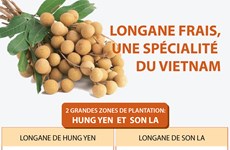 Longane frais, une spécialité du Vietnam 
