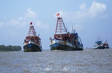 Kien Giang s'efforce de mettre fin à la pêche illégale pour faire retirer le "carton jaune" de la CE