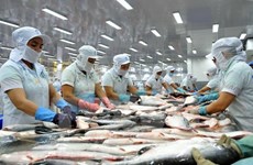 Les exportations vietnamiennes de poissons tra vers le Brésil multipliées par plus de 1,5
