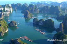 "Voyager pour aimer", opération séduction du Vietnam sur YouTube
