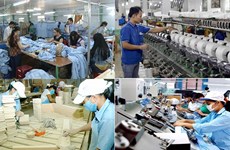 Vietnam : le secteur privé en pleine croissance