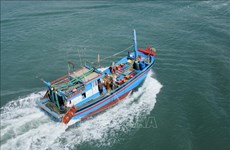 Ninh Thuan améliore la capacité de sa flotte de pêche hauturière