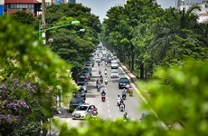 Hanoï s'efforce d'augmenter les espaces verts dans les zones urbaines