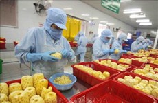 Expansion des débouchés pour les fruits et légumes vietnamiens