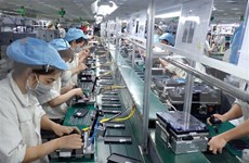 La structure des produits vietnamiens exportés vers Singapour reste stable