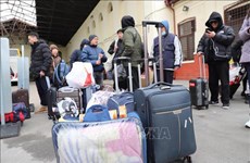 Protéger les citoyens vietnamiens évacués d'Ukraine vers l'Allemagne