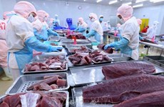 Les exportations de thon du Vietnam au 1er trimestre en bonne voie