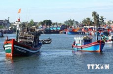 L’investissement dans les ports de pêche contribue à l’aquaculture durable