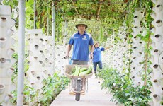 Bac Giang s'efforce d'augmenter la valeur de la production agricole