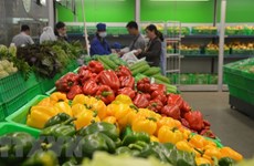 Exportations des fruits et légumes de 1,4 milliard de dollars en cinq mois