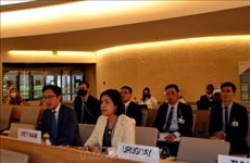 ONU:Résolution sur le changement climatique et les droits de l'homme initiée par le Vietnam adoptée
