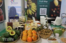 Les marchés exigeants, nouvelle étape pour la commercialisation des fruits vietnamiens 