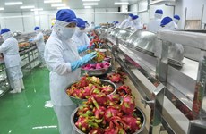 COVID-19: adapter les produits agricoles vietnamiens aux mesures antiépidémiques strictes