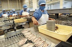 Le thon du Vietnam s’exporte bien vers la France