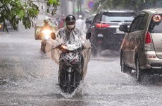 Environ de 3 à 5 tempêtes susceptibles d'affecter directement le Vietnam