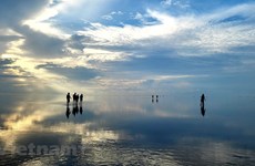 Thai Binh: beauté de la plage de Quang Lang au lever du soleil
