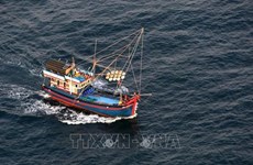 Le Vietnam redouble ses efforts pour éradiquer la pêche illégale