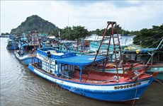 Pêche INN : Kien Giang travaillera avec des inspecteurs de la CE 
