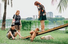 Le premier parc dédié à l’animal de compagnie à Hanoï