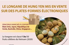 Le longane de Hung Yen mis en vente sur des plates-formes électroniques