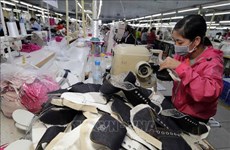 Le marché chilien peut aider à augmenter les exportations vietnamiennes vers l'Amérique du Sud