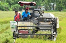 Plus de 7 millions d'euros pour aider les agriculteurs à produire du riz et des mangues bio