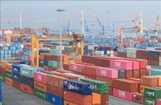 Les exportations de produits vietnamiens vers l'Allemagne en hausse de 30,5% en 10 mois