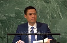 Le Vietnam appelle l'ASEAN à renforcer la coordination à l'ONU