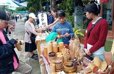Ouverture du festival "L'art de l'installation pour l'environnement marin" à Hoi An