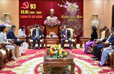 Da Nang promeut la coopération avec les pays étrangers