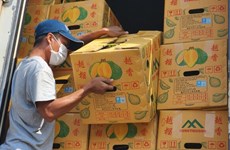 Quand la Chine importe des durians vietnamiens