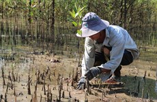Lancement de deux rapports sur les impacts du changement climatique et l’adaptation du Vietnam
