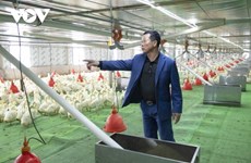 Quang Ninh mise sur la transformation numérique pour développer son élevage