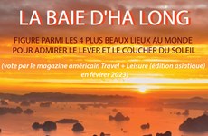 La baie d'Ha Long figure parmi les quatre plus beaux lieux au monde pour admirer le lever du soleil