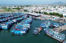 Pour le développement durable du secteur de la pêche au Vietnam