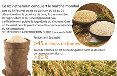Le riz vietnamien conquiert le marché mondial