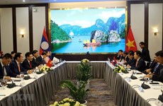 Vietnam-Laos : la 6e consultation entre les deux ministères des AE