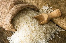 La Côte d’Ivoire: premier débouché du riz vietnamien en Afrique
