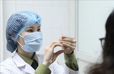 Des signaux optimistes concernant le vaccin « made in Vietnam »